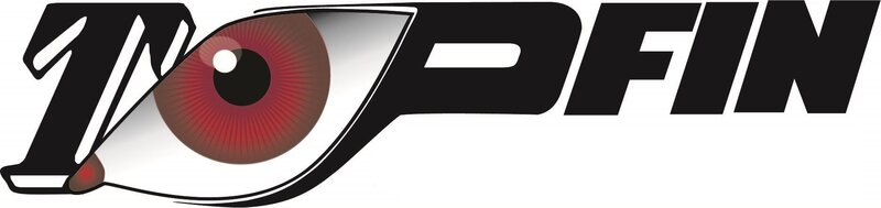 Topfin Management - Consultanta Fiscala, audit si contabilitate, Oradea